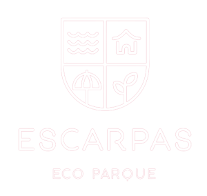 Escarpas-removebg-preview