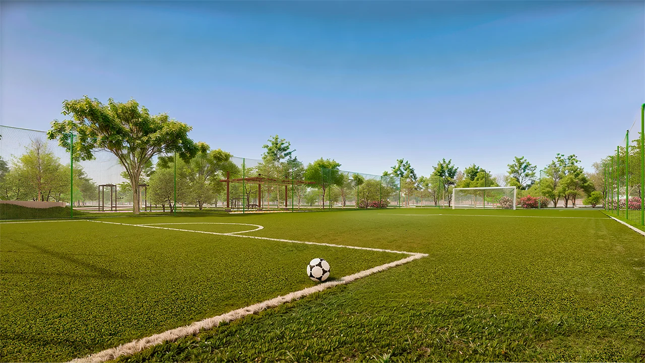 CAMPO-DE-FUTEBOL